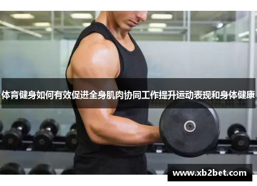 体育健身如何有效促进全身肌肉协同工作提升运动表现和身体健康