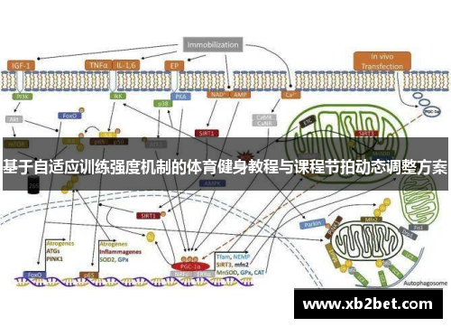 基于自适应训练强度机制的体育健身教程与课程节拍动态调整方案
