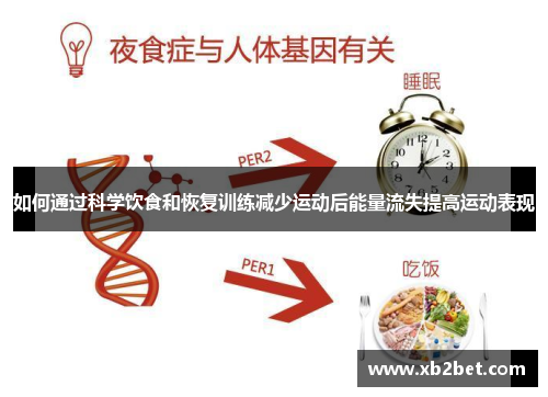 如何通过科学饮食和恢复训练减少运动后能量流失提高运动表现
